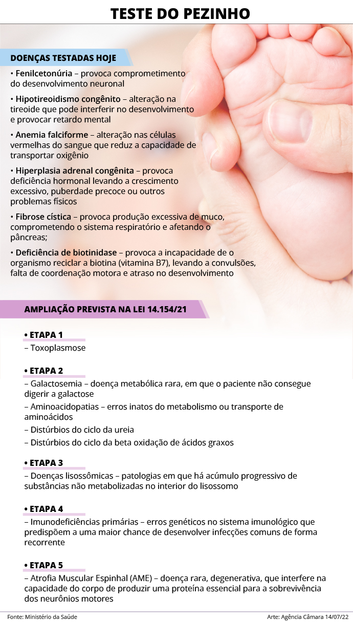 camara 28112022