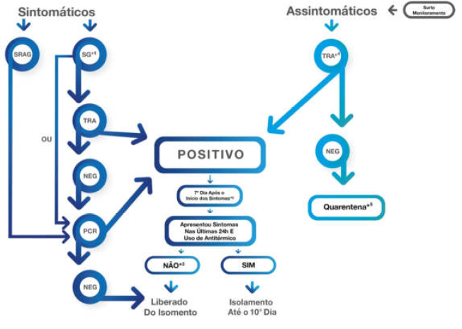imagem 02022022