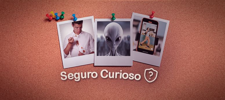 cnseg 281124
