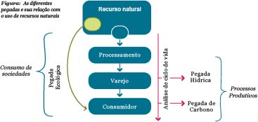 figura navaro